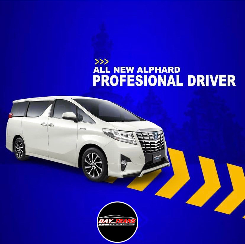 Bay_trans Tour&travel