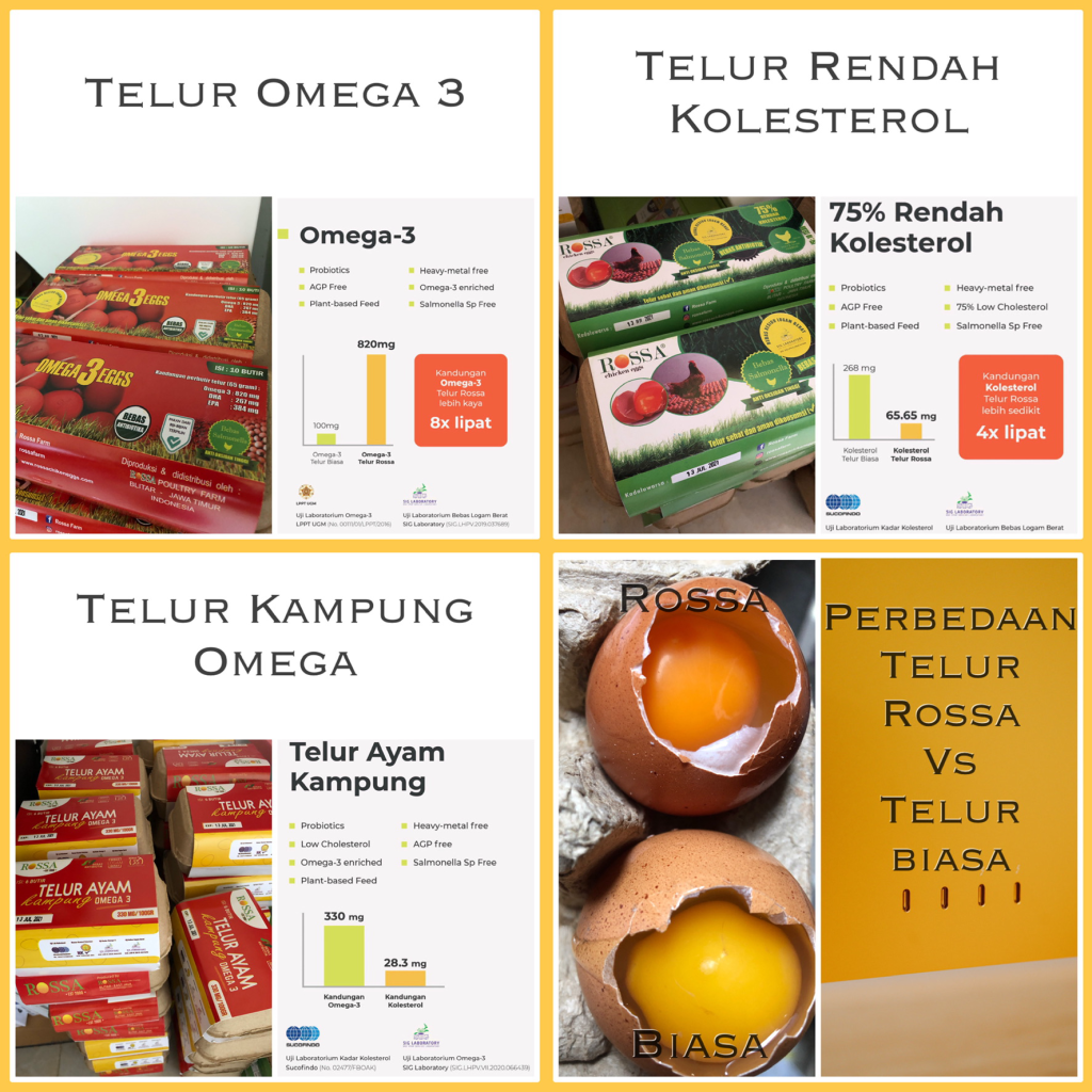 Telur Omega 3