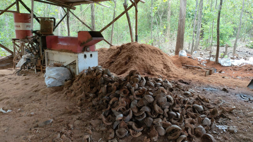 Cocofiber Dan Cocopeat