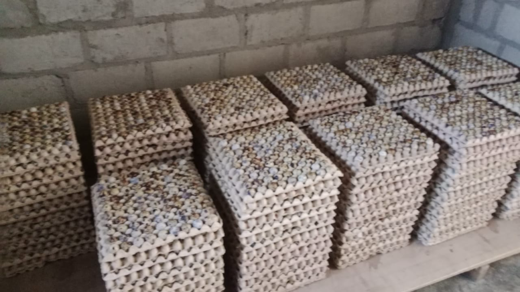 Telur Puyuh Matang Kupas