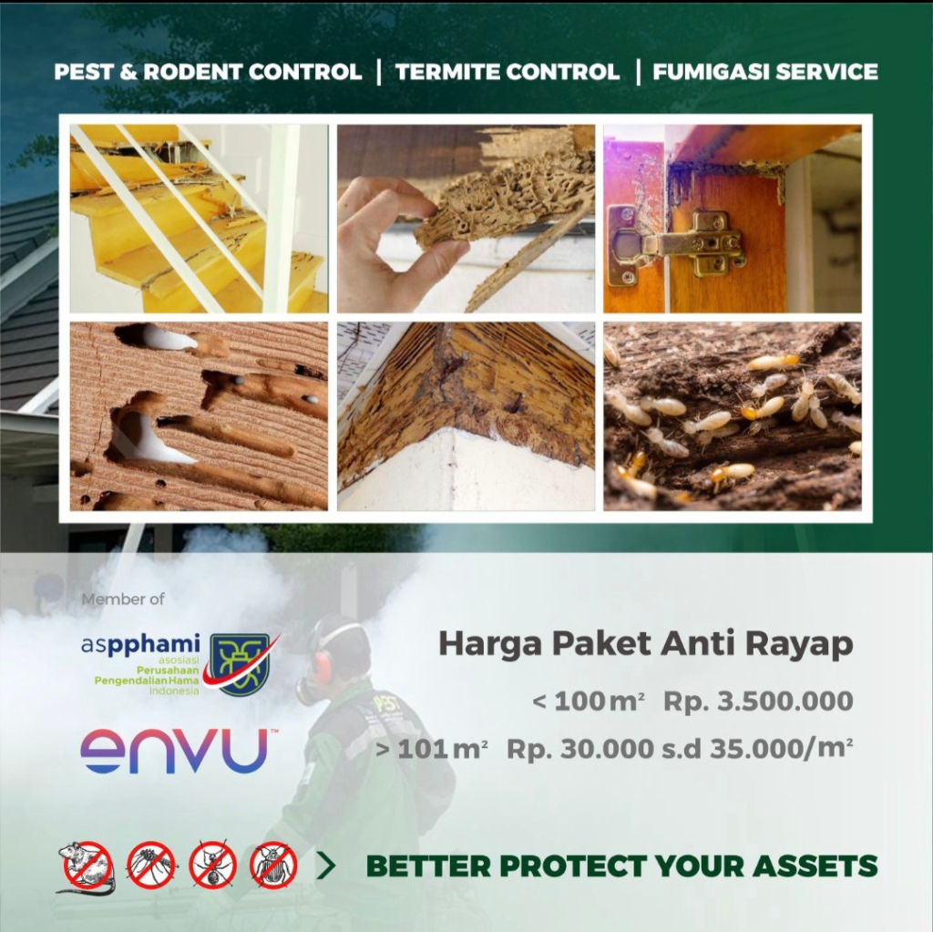 Jasa Anti Rayap Bangunan